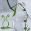 Self-adhesive plant climbing clips blending seamlessly with green foliage on a wall.