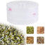 White 3 compartment sprout maker with mung beans inside, ready for sprouting.