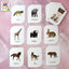 Box containing 32 durable and laminated animal flash cards for toddlers