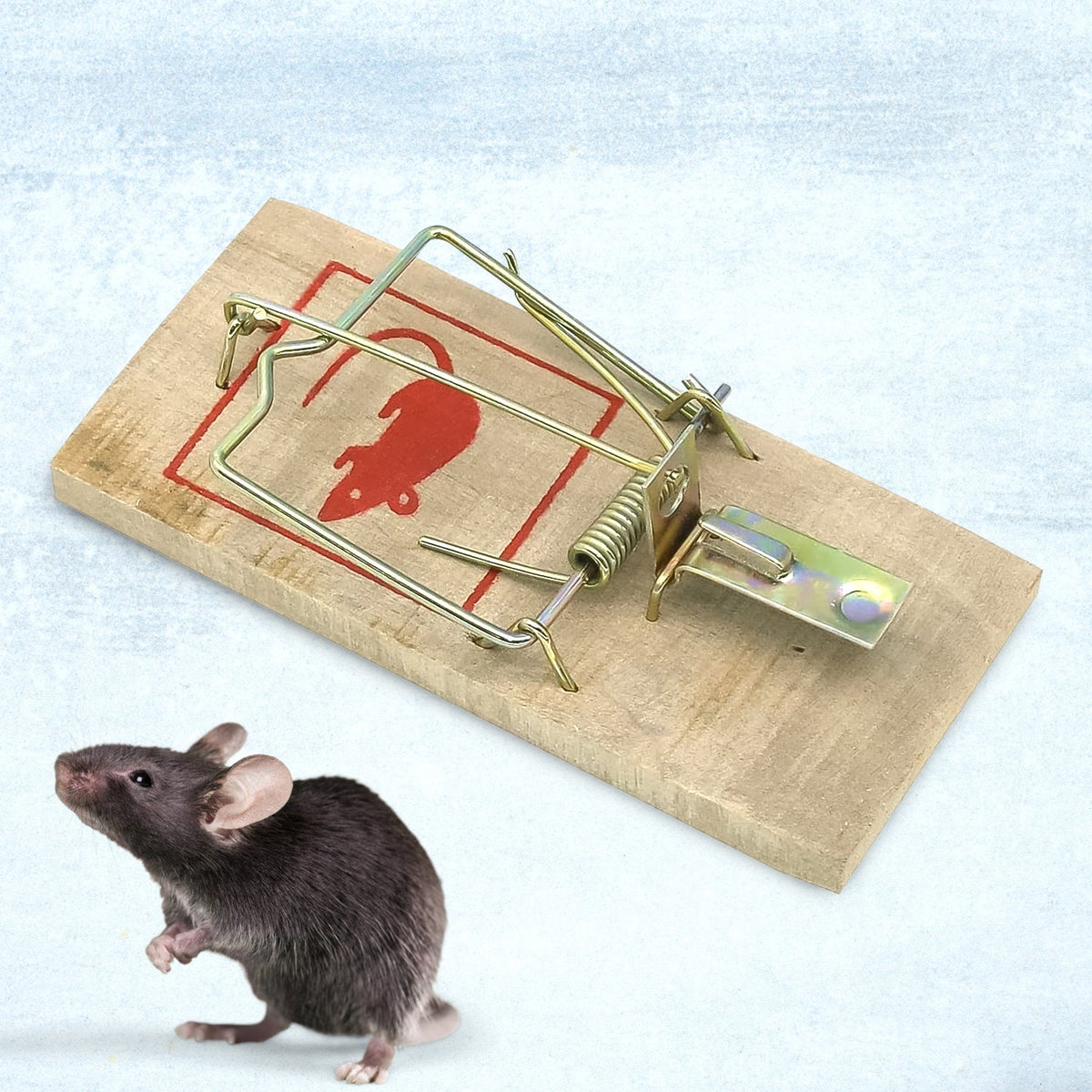 Wooden mouse trap with sturdy snap trigger for effective rodent control Main image