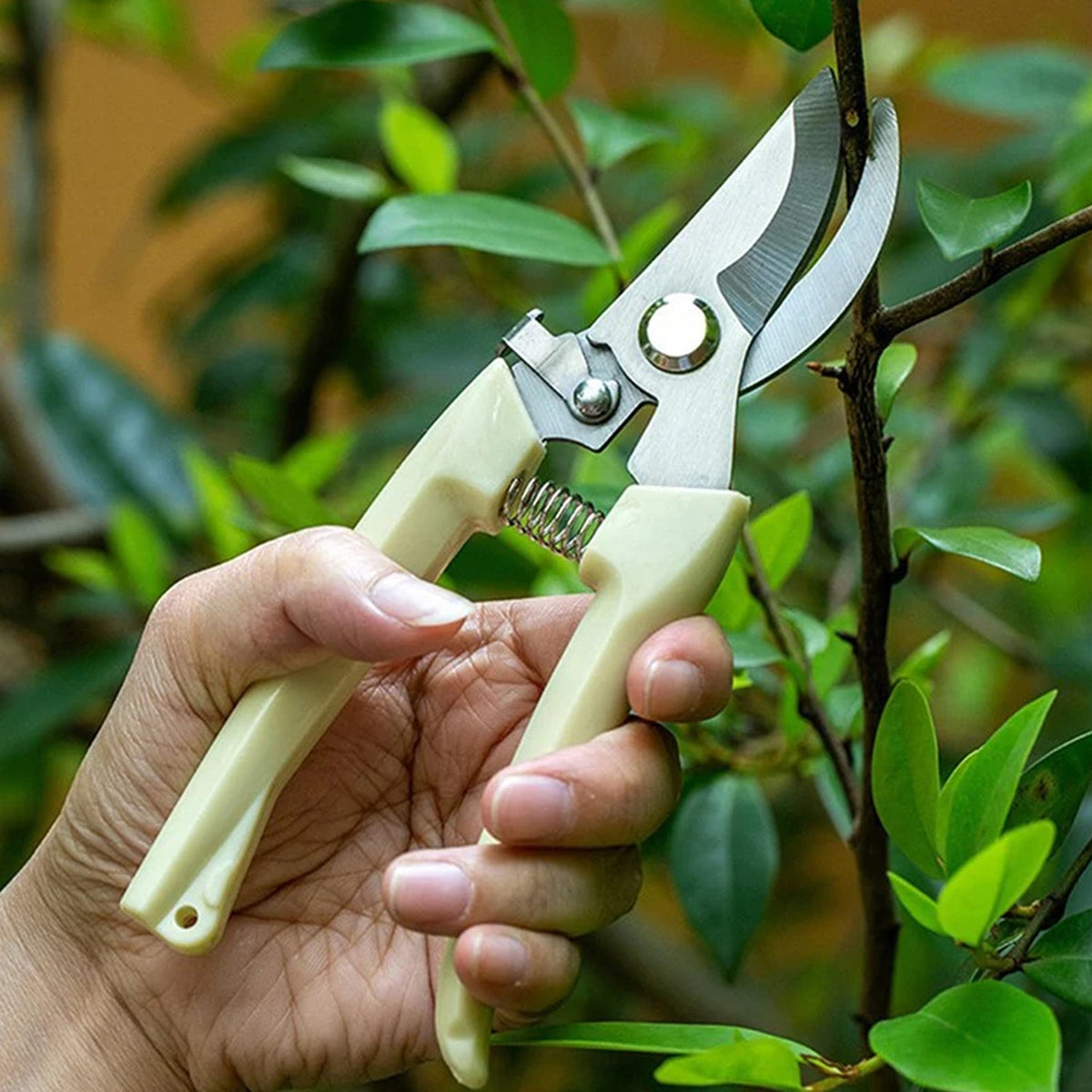 Pruning shears with sharp stainless steel blades and a comfortable handle. Main image