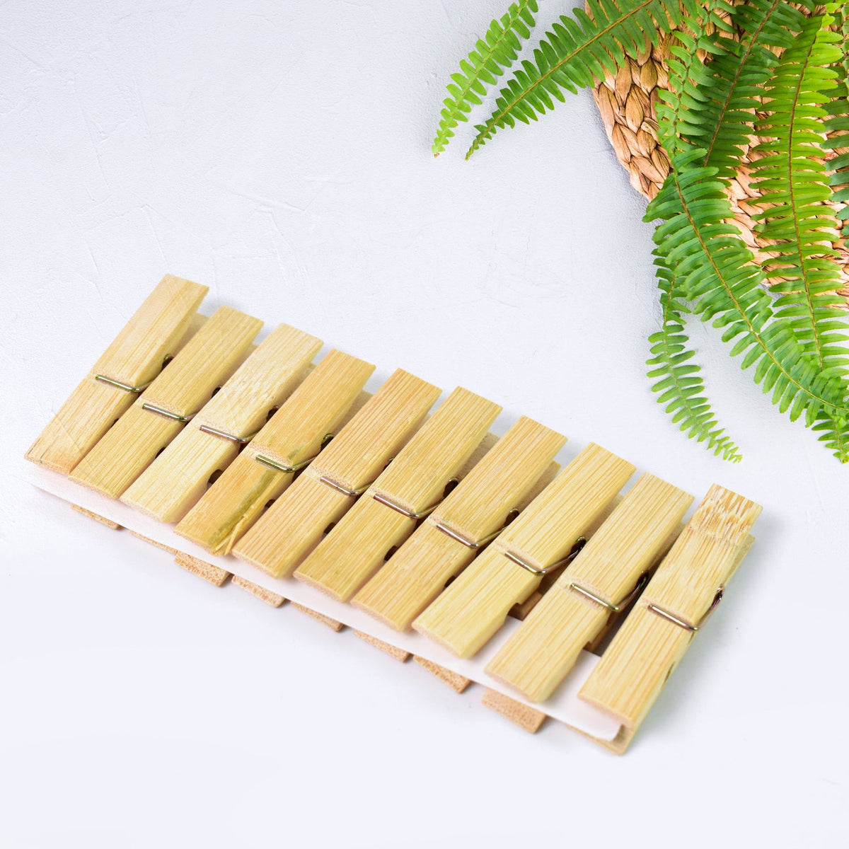 Set of 10 bamboo cloth clips with stainless steel springs on a clean white background. Main image