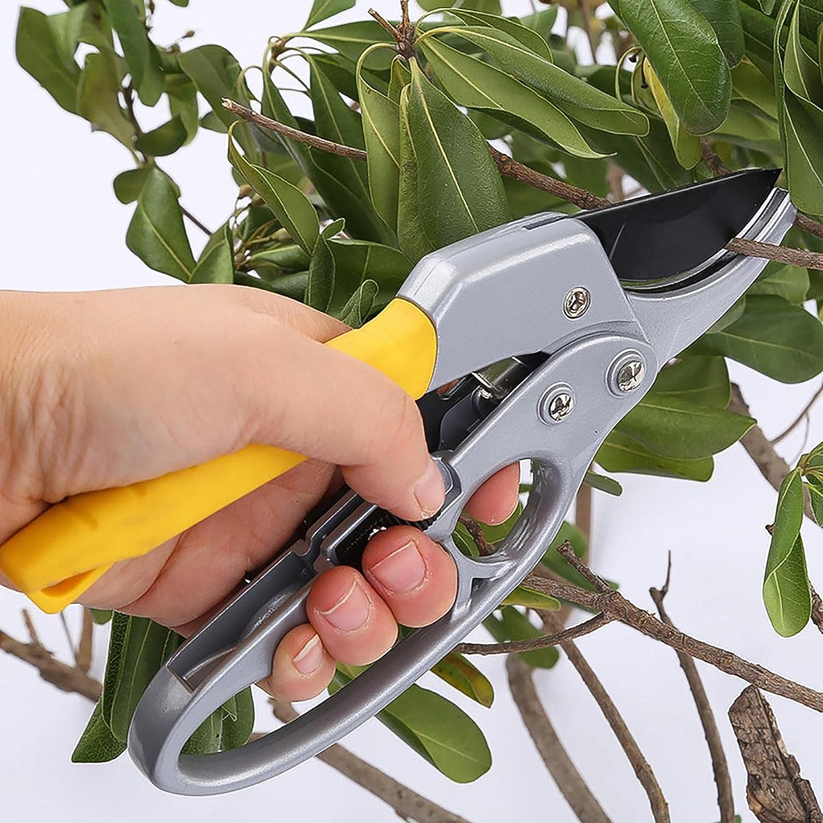 Pruning shears with sharp SK-5 steel blades and ergonomic handle for gardening Main image
