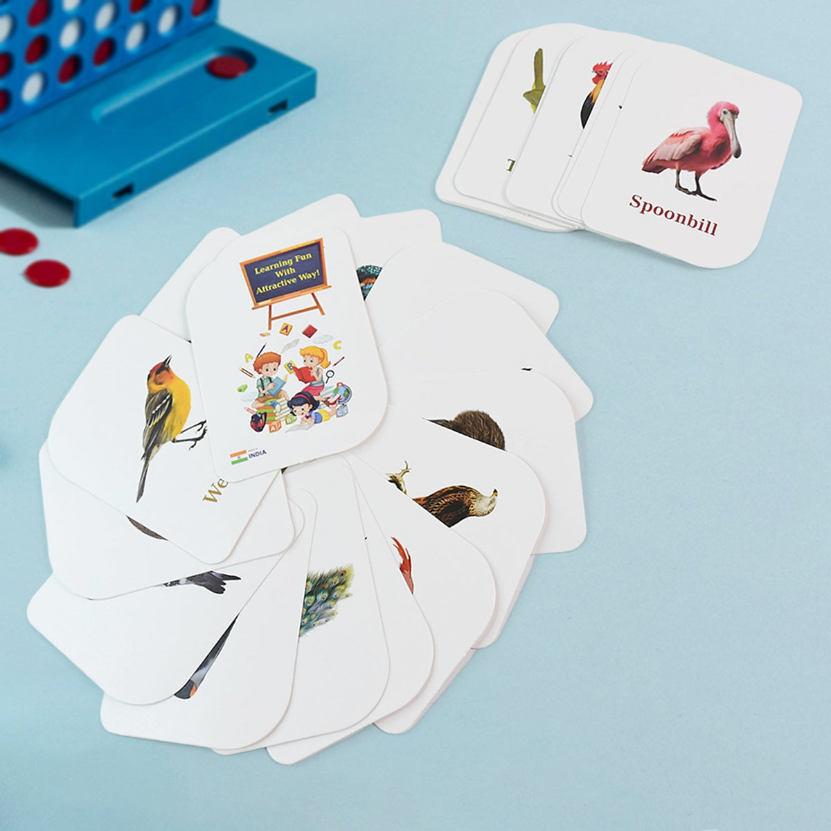 Bird Flashcards set showcasing realistic images of diverse bird species for kids learning Main image