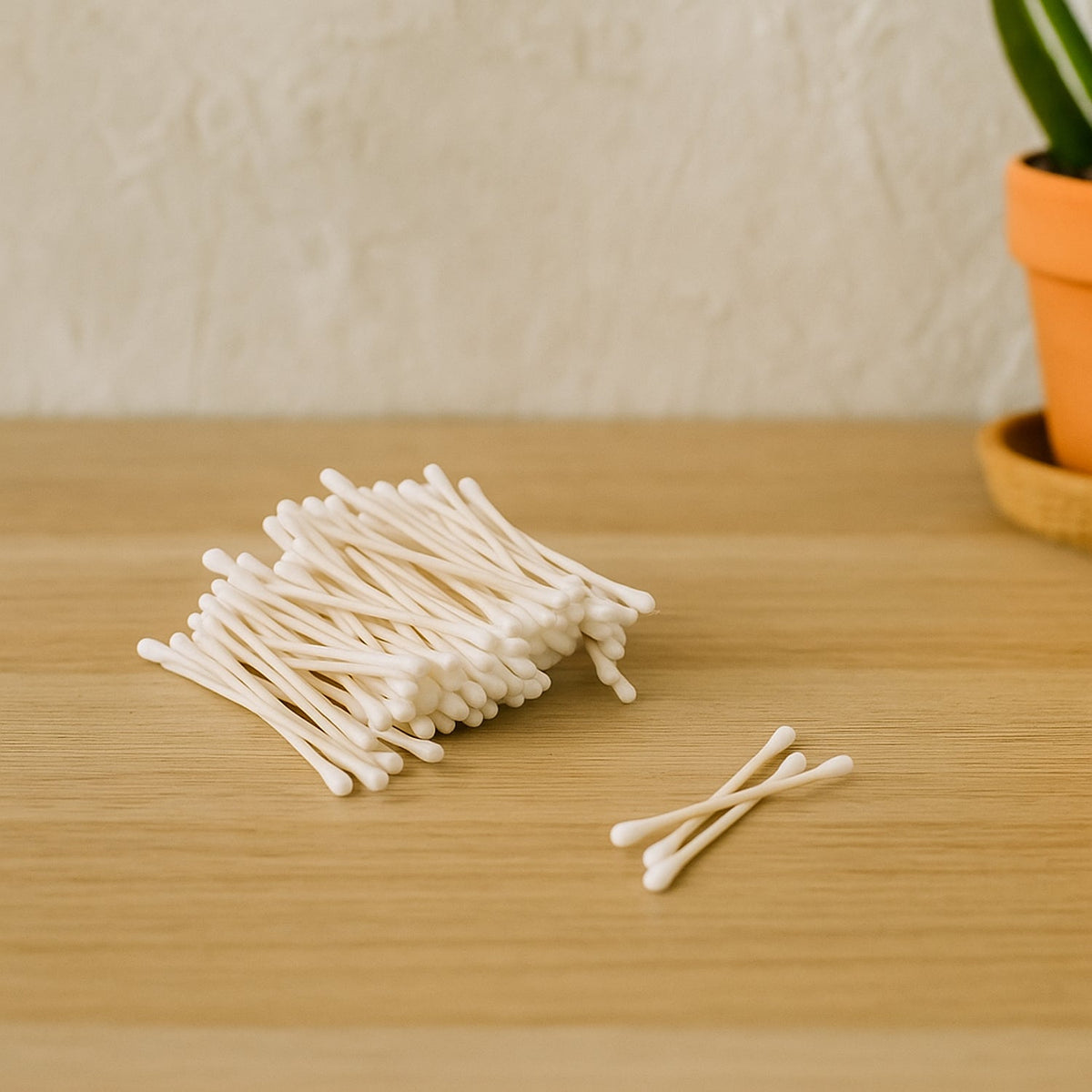 Tulips Paper-Stick Cotton Swabs 100-piece pack displayed on a white surface. Main image