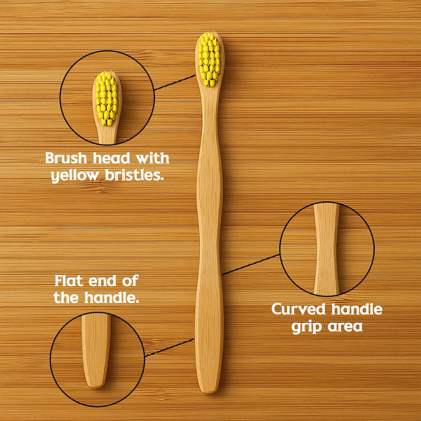 Sustainable bamboo toothbrush designed for effective plaque removal