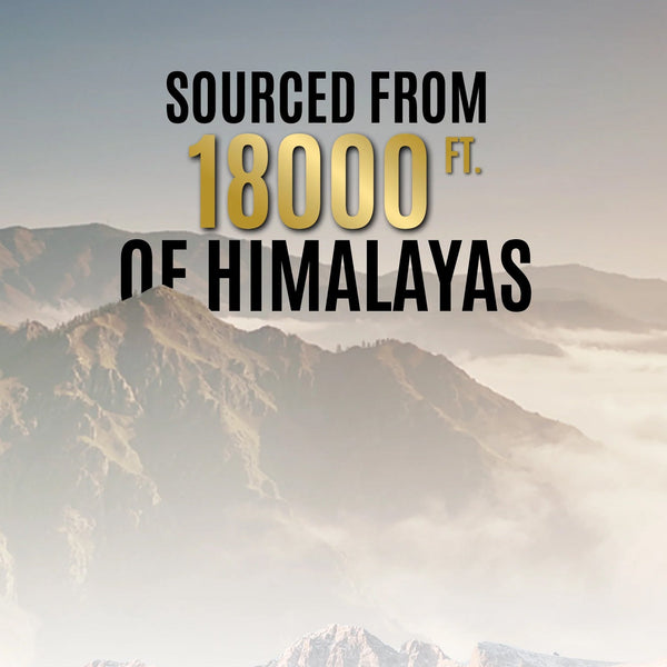 OG Wellness Natural power Himalayan Shilajit resin for strength and vitality