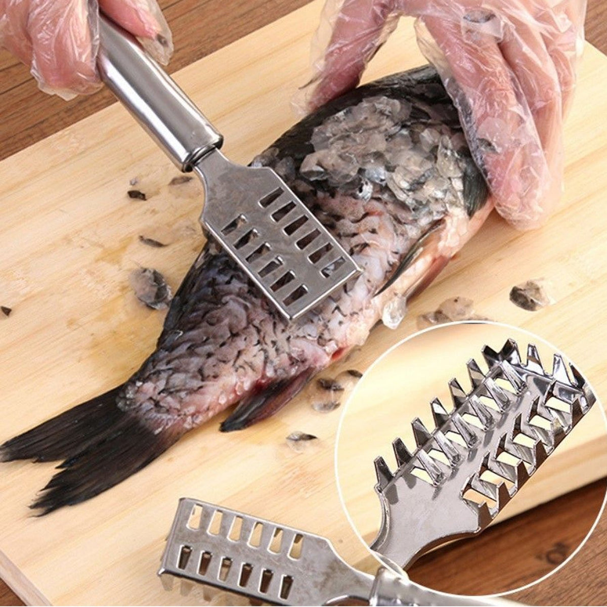 Stainless Steel Fish Scale Remover with sawtooth edge for efficient cleaning. Main image