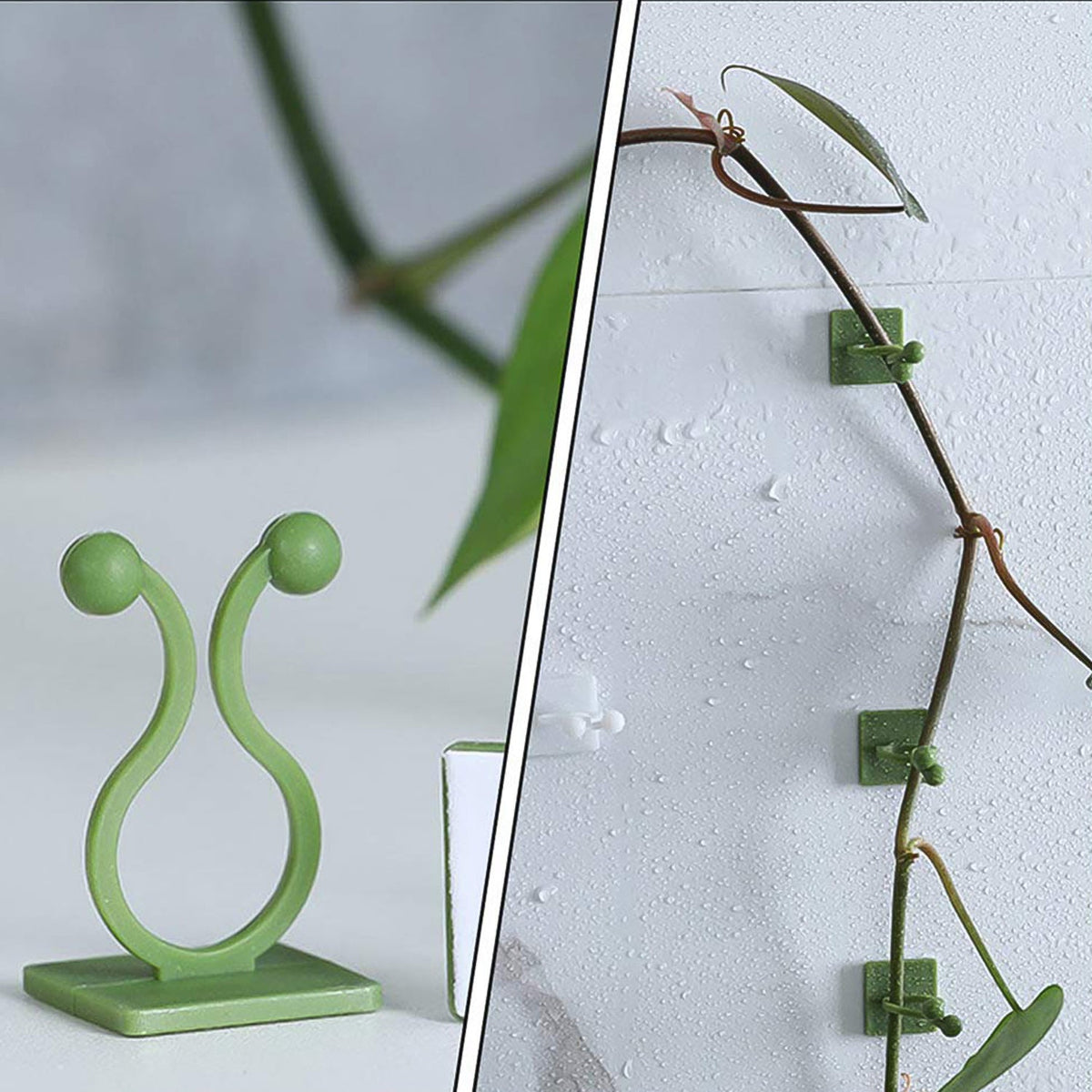 Self-adhesive plant climbing clips blending seamlessly with green foliage on a wall. Main image
