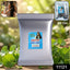 Natural herbal Brahmi powder for traditional hair care and scalp nourishment