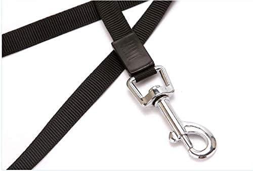 500 cm Dog & Cat Strap Leash (Multicolor) Secondary image