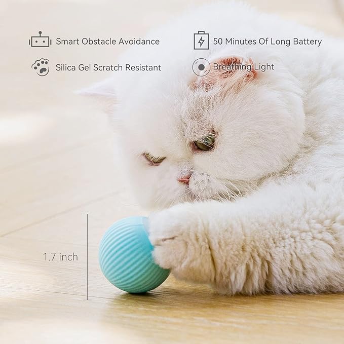 Interactive Cat Toy Ball with LED Light, 360° Self-Rotating Electric Ball, USB Rechargeable Electric Cat Toy Secondary image