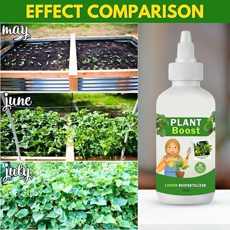 24572