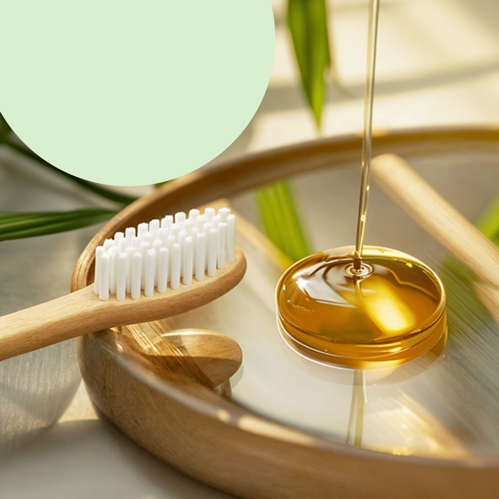 Bamboo Toothbrush Set – Eco-Friendly Medium Bristles (2 Pack) Secondary image
