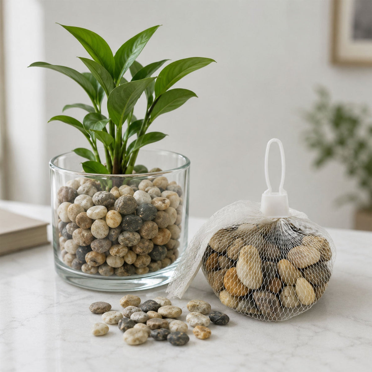 Set of natural river pebbles stones in various earthy tones for decoration Main image