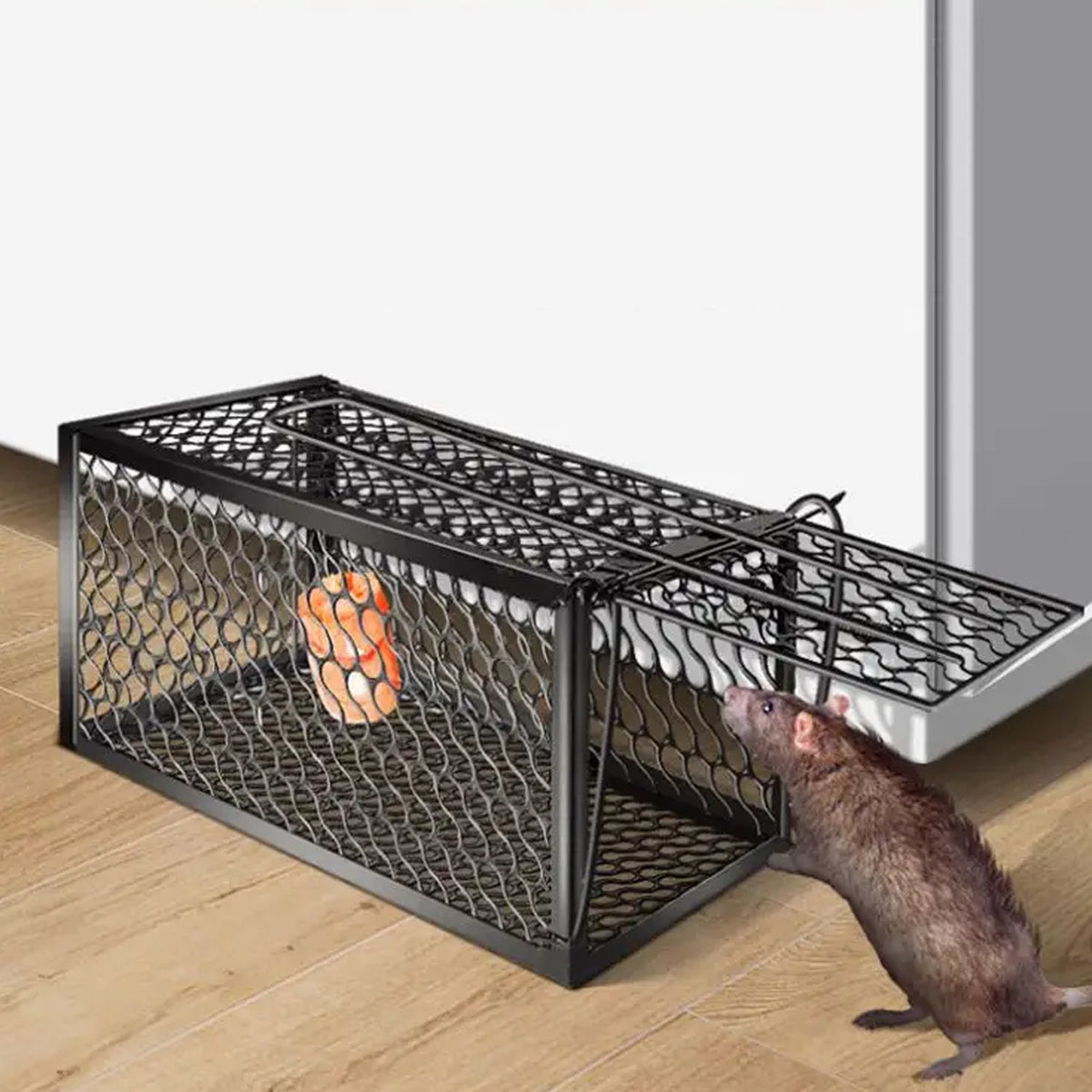 Foldable humane mouse trap cage with door open, ready for bait. Main image