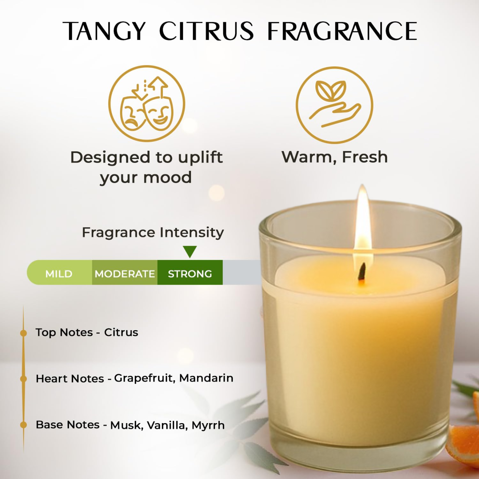 Blueberry Scented Candle – Soy-Blend Votive in Glass, 50gm Secondary image