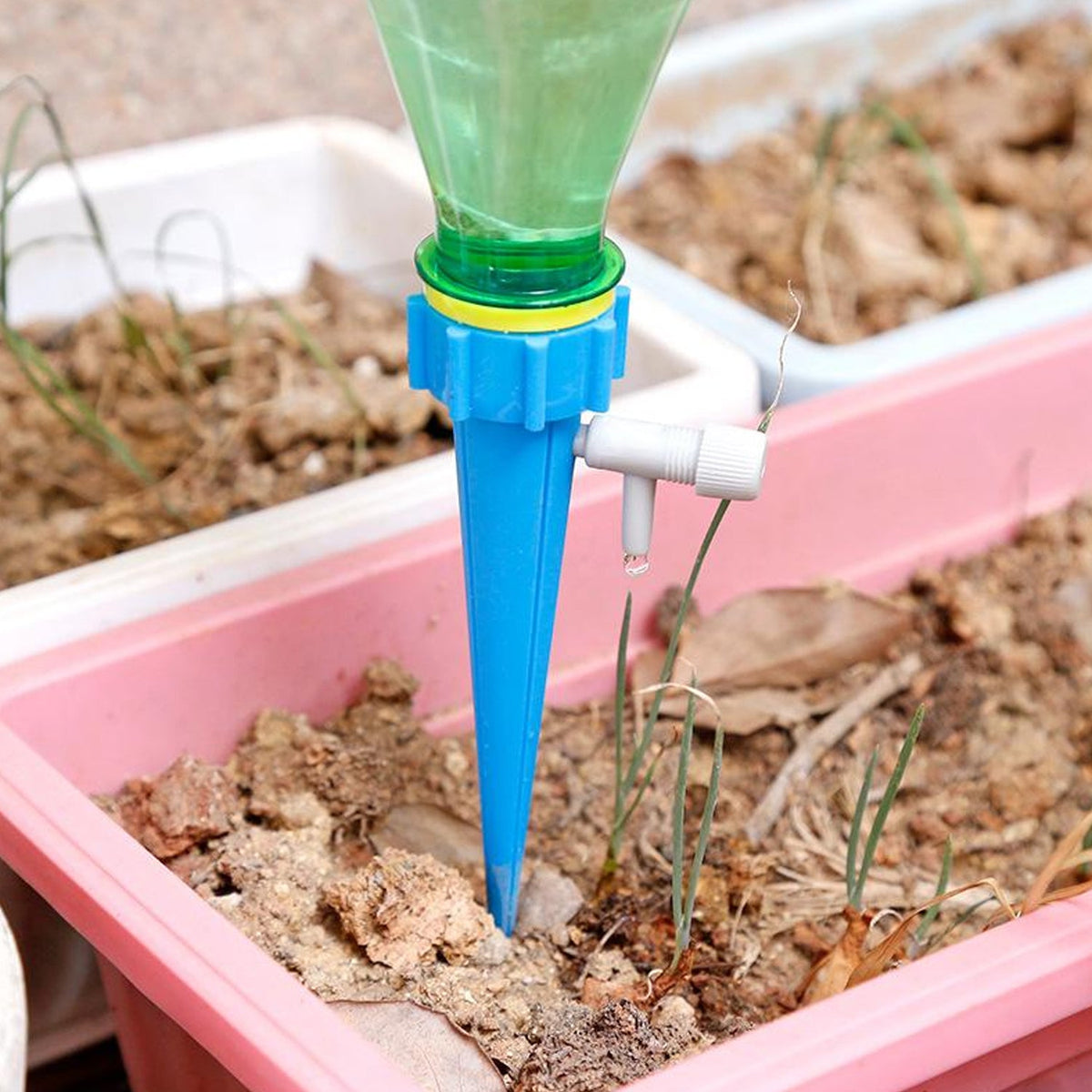 A Tidy Roots self-watering plant spike delivers water directly to plant roots in a pot. Main image