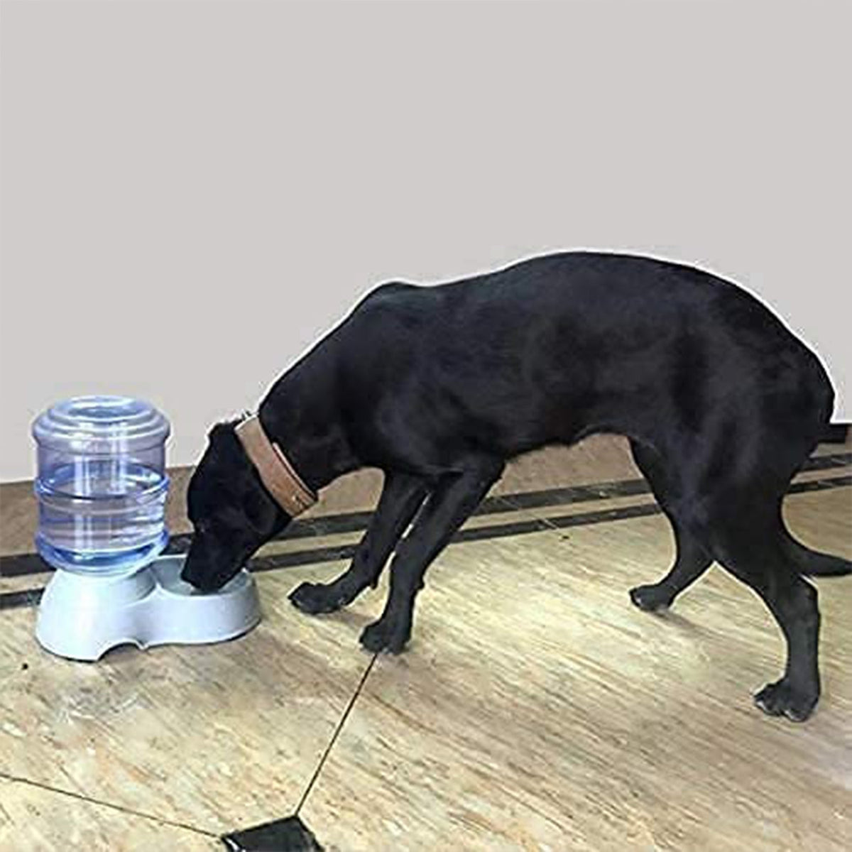 Automatic pet water and food dispenser set in a clean pet area, side view. Main image