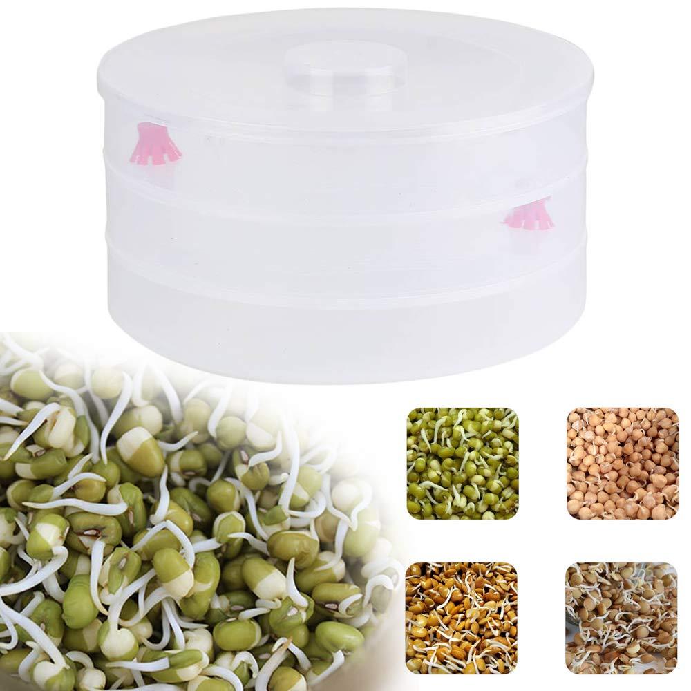 White 3 compartment sprout maker with mung beans inside, ready for sprouting. Main image