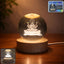 3D crystal Lakshmi ball LED night lamp with wooden base on table