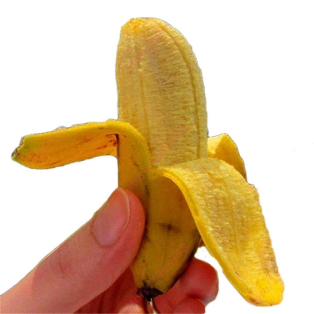 8582