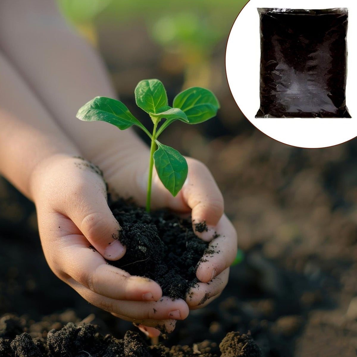 1 KG pack of organic vermicompost black soil manure for healthy garden plants. Main image