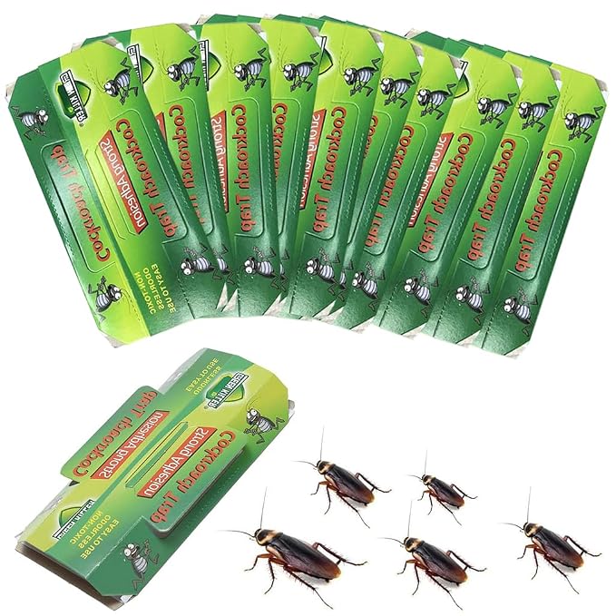 22677