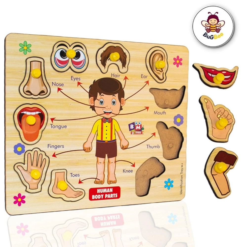 Wooden Puzzle - Body parts | Wood | Educational Toys | 3+ Years Main image