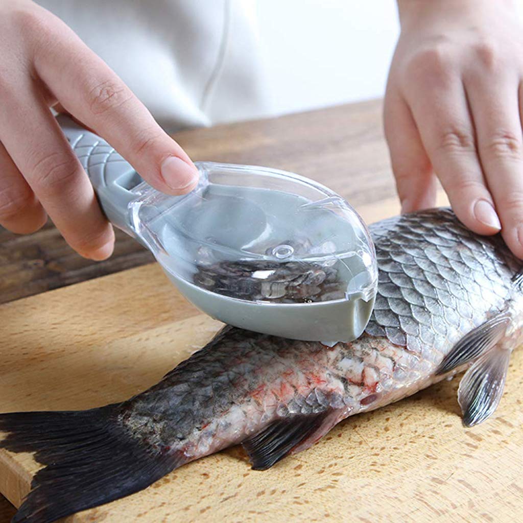 Close-up of the ergonomic Fish Scale Scraper for efficient fish cleaning. Main image