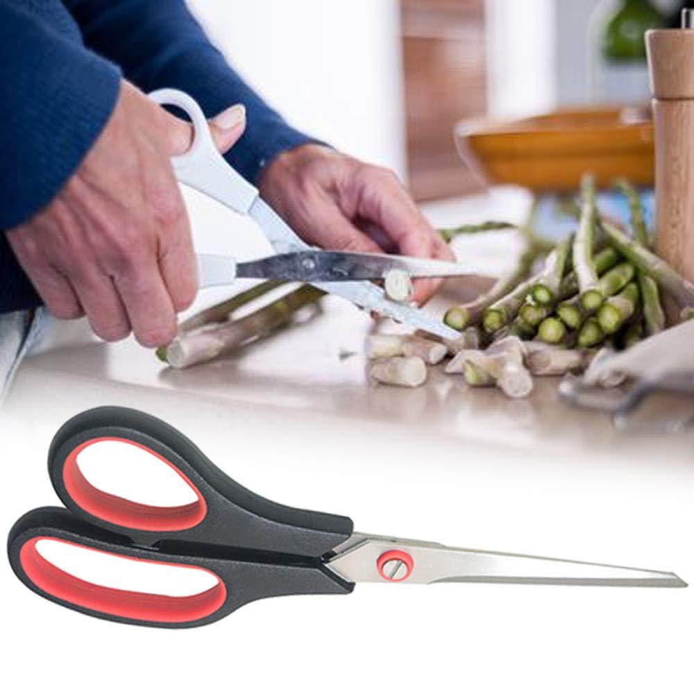 A sharp stainless steel all-purpose scissor set with one large and one medium size. Main image