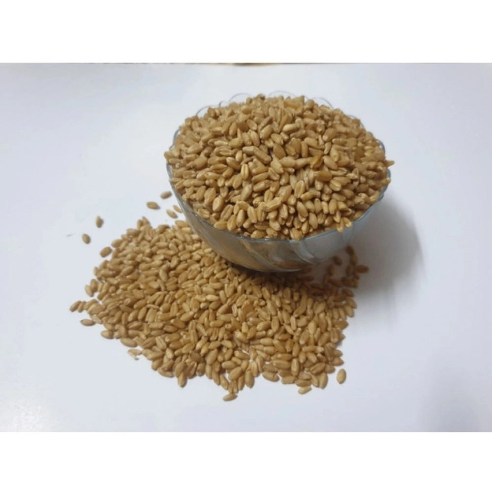 Generic Wheatgrass Microgreen Seeds – Easy to Grow, Quick Harvest Main image