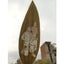 Generic Custom Engraved Leaf Art – Personalized Portrait on Natural Leaf