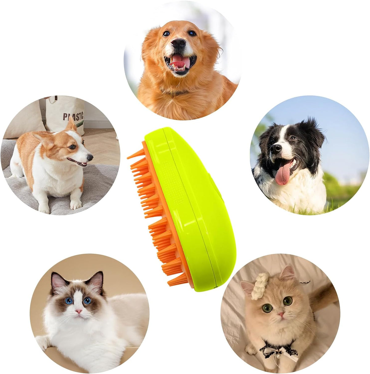 3-in-1 Cat Steamy Brush in white, ready for pet grooming. Main image