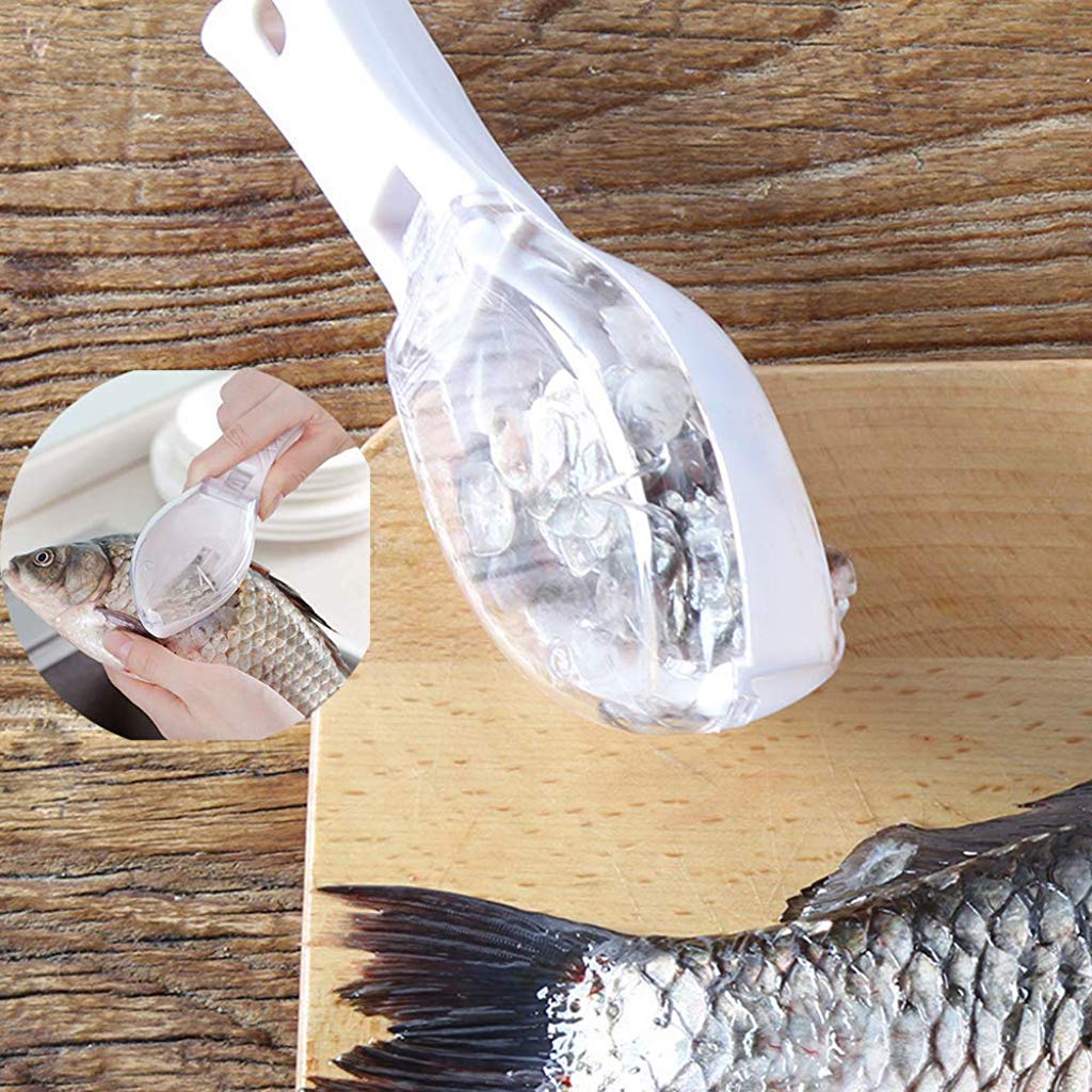 Fish Scale Scraper – Easy Fish Cleaning Tool | Quickslice Secondary image