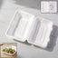 Vegnar 9x6 inch bagasse clamshell food box with hinged lid