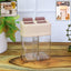 Dual chamber salt and pepper dispenser with transparent body and flip lids