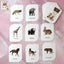 32-Piece Animal Flash Cards Set – Educational Learning Cards