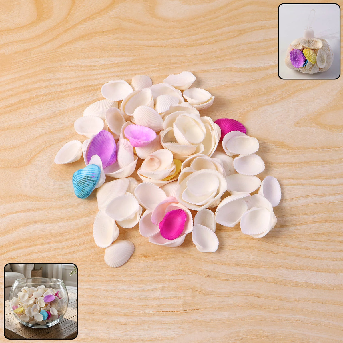 Decorative seashells set arranged for natural home accent Main image