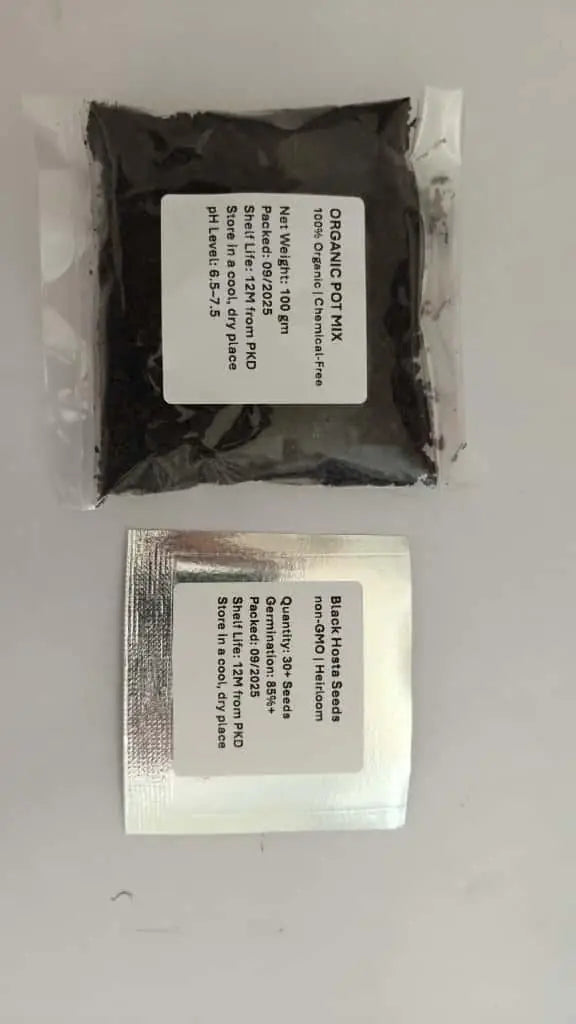 "Black Hosta Seeds + 100 grams Organic Pot mix Free	" Secondary image