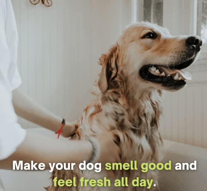 Anti-Itch Dog Shampoo Ditch to Itch (Pack of 2) Secondary image