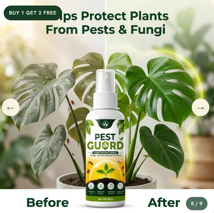 Pest Guard Plant Protect Spray (Buy 1 Get 2 Free) Secondary image