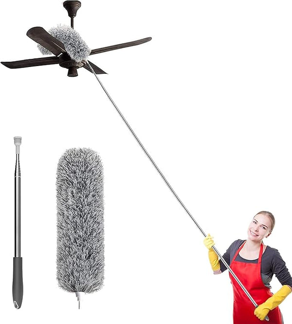 23266