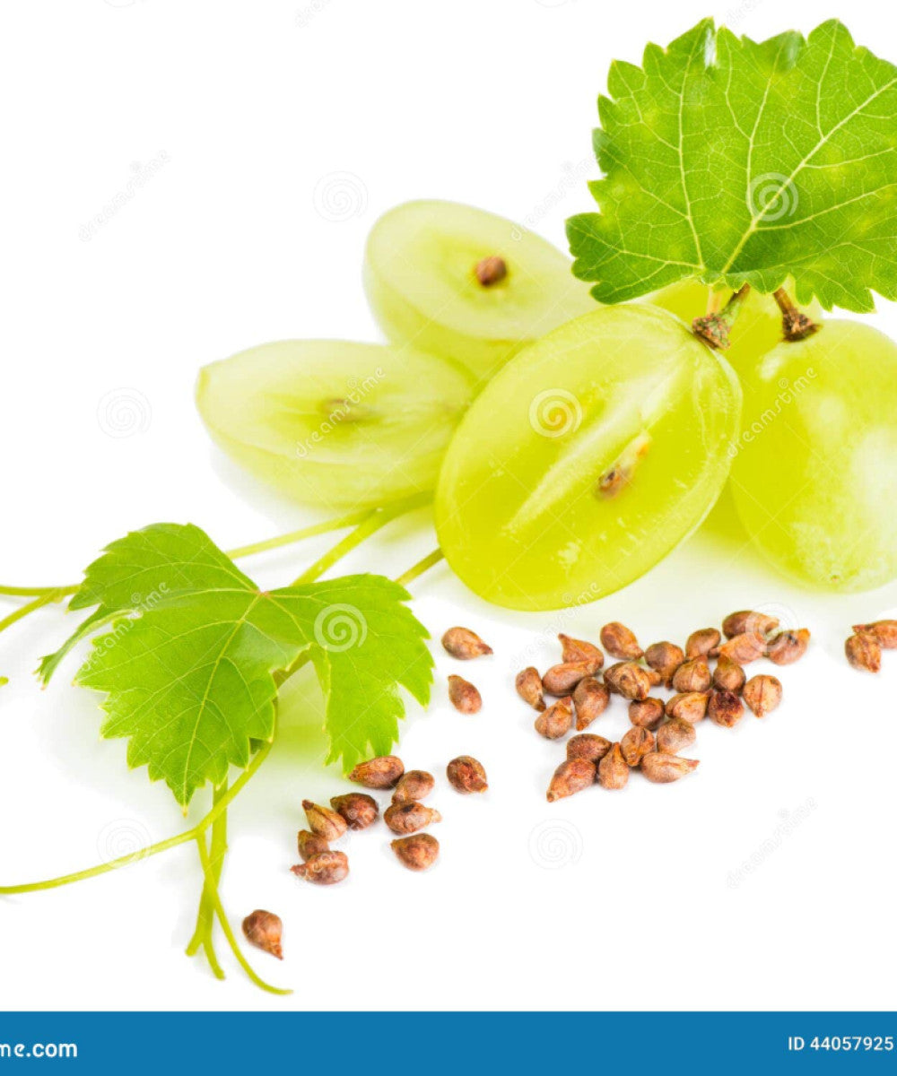 4654